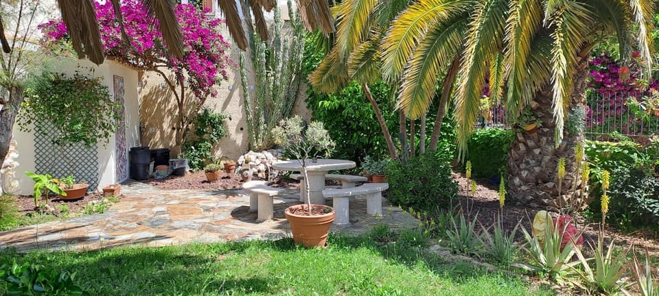Spring, Garden, Dining area, Garden view