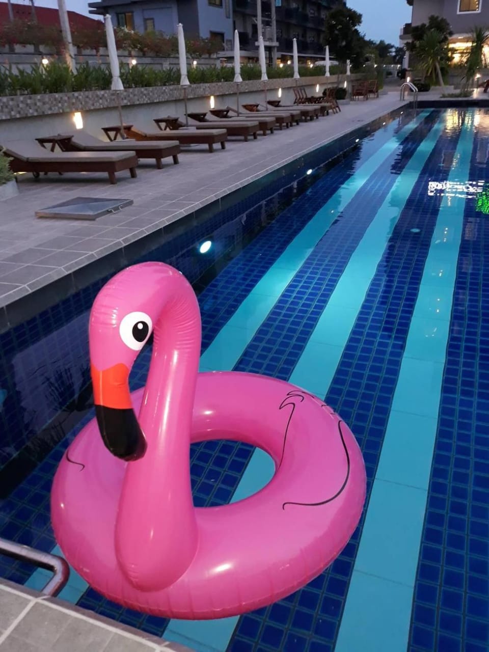 Swimming pool