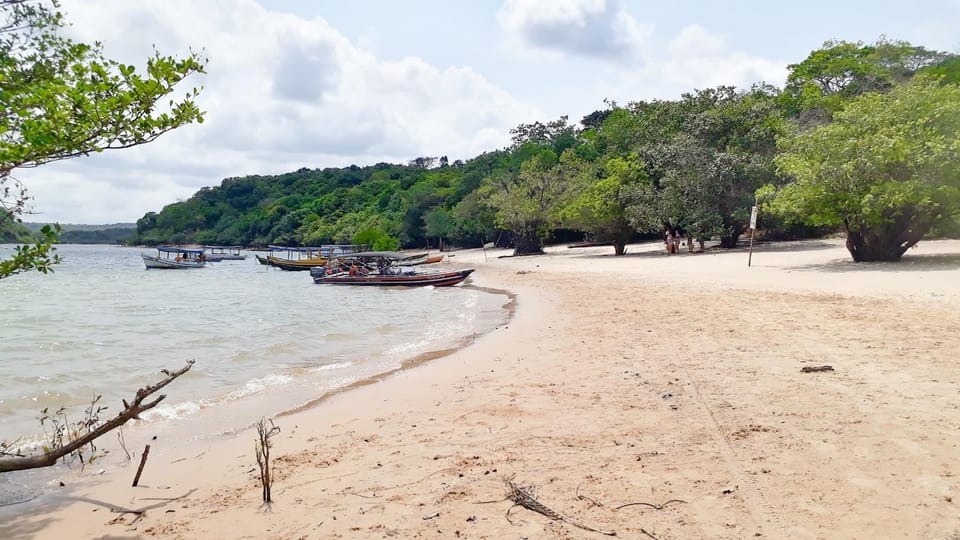 Natural landscape, Other, Seating area, Beach, Hiking, River view