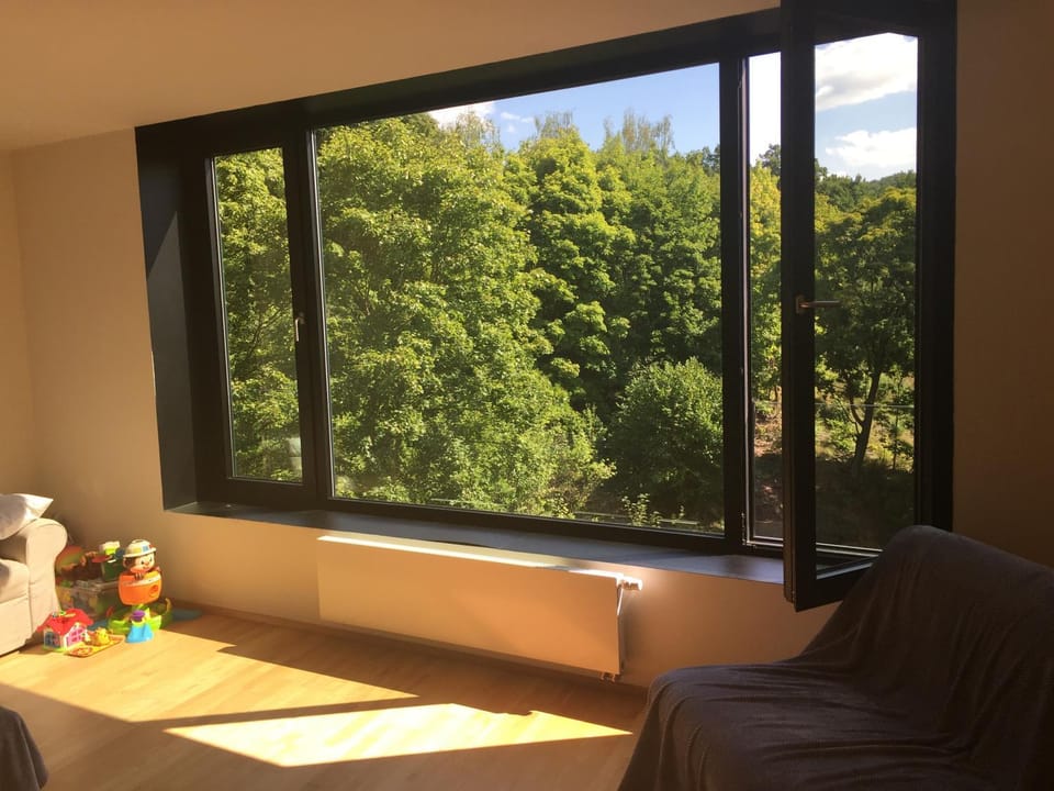 Living room, Decorative detail, Mountain view