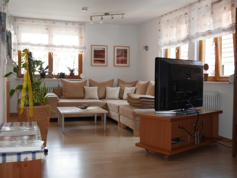 Gaestehaus Stelter Apartment in Ringsheim