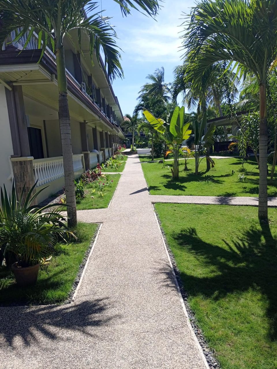 Garden view