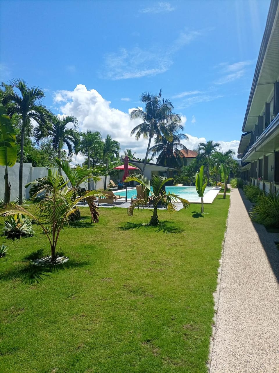 Garden view