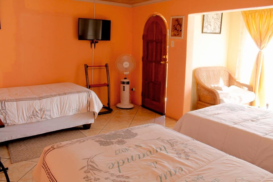 Bed, Photo of the whole room
