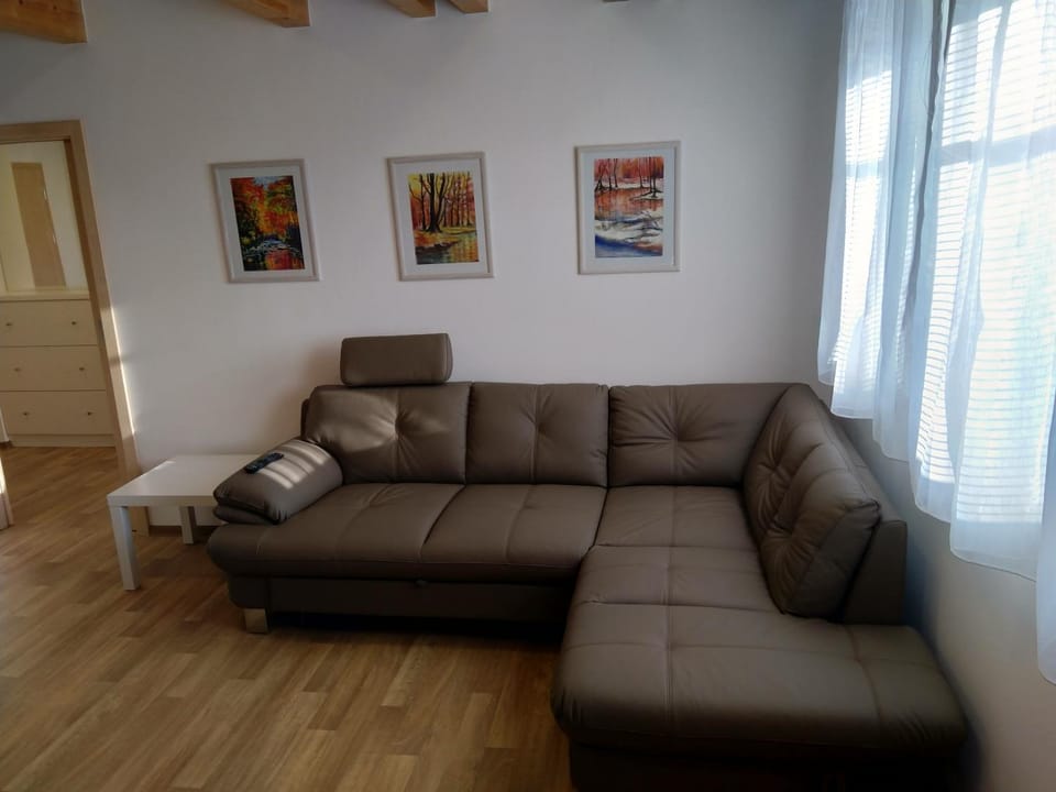 APARTMÁNY NA VÝSLUNÍ Apartment in Czechia