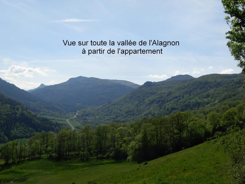 Mountain view