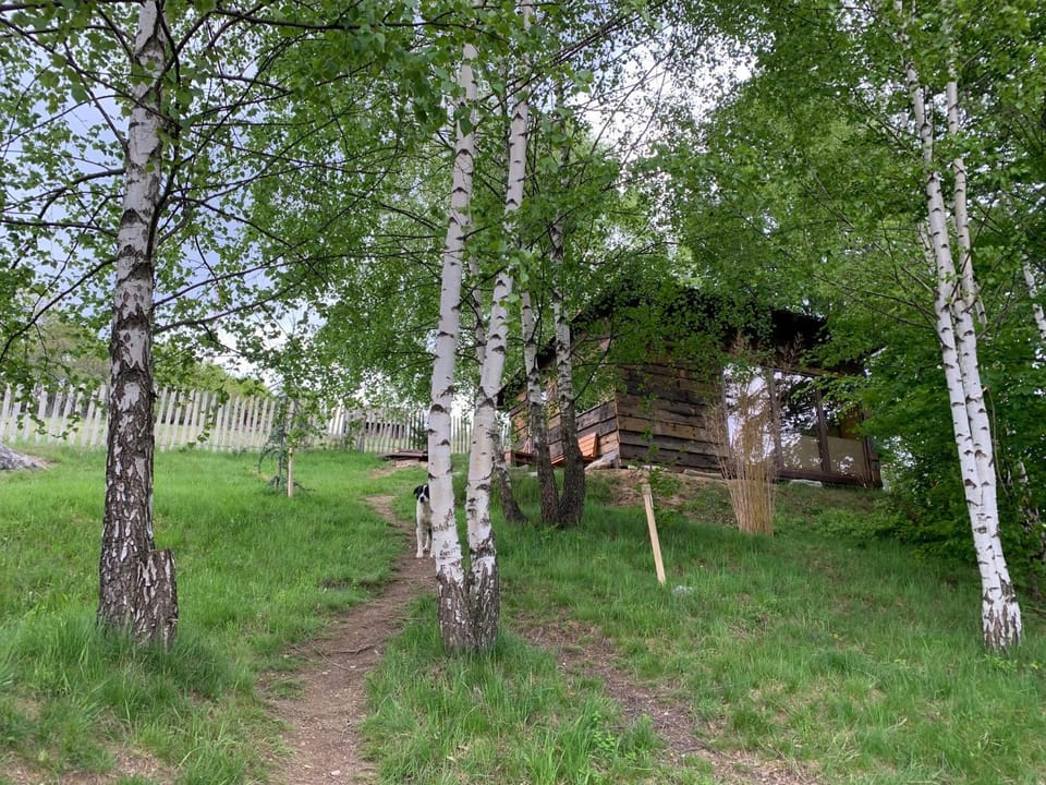 Facade/entrance, Garden