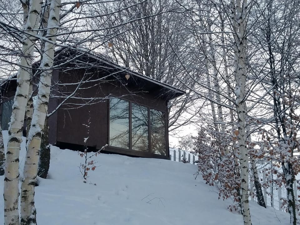 Property building, Facade/entrance, Winter