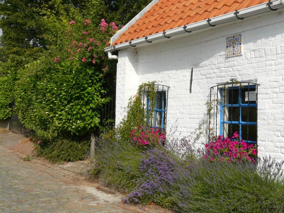 Property building, Street view