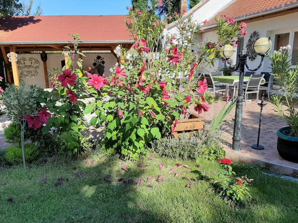 Garden, Garden view
