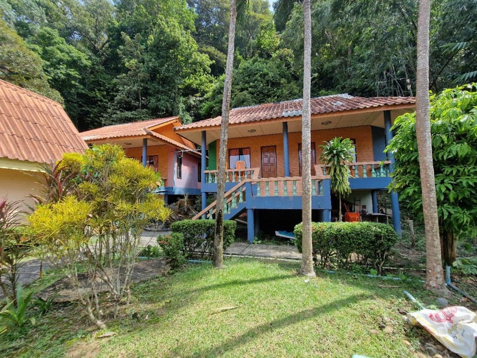 Property building, Garden view
