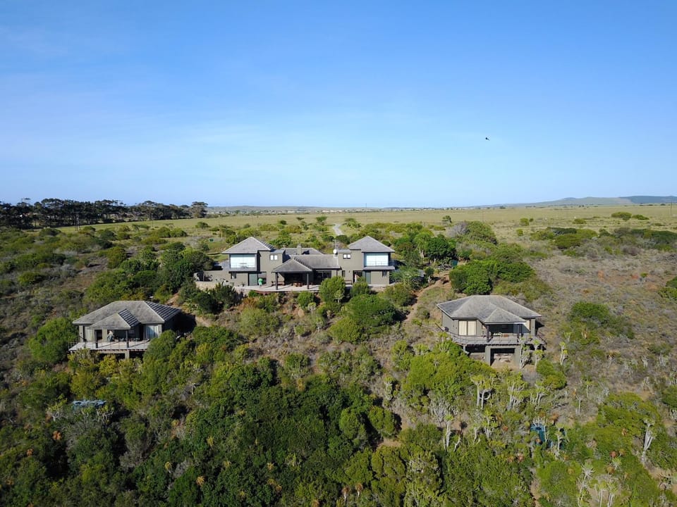 Property building, Bird's eye view