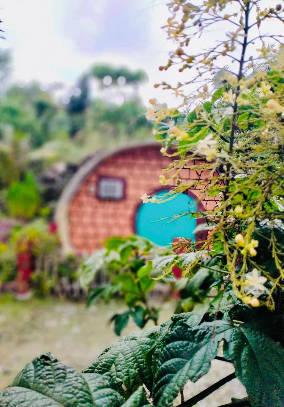 Kamp Aninipot Campground/ 
RV Resort in Siquijor