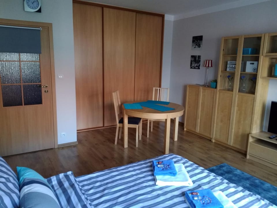 Traugutta apartment Vacation rental in Wroclaw