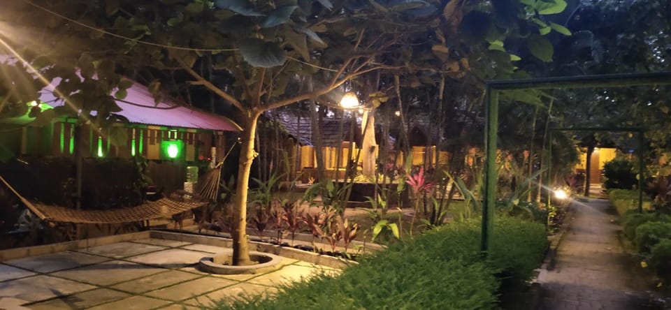 Garden view