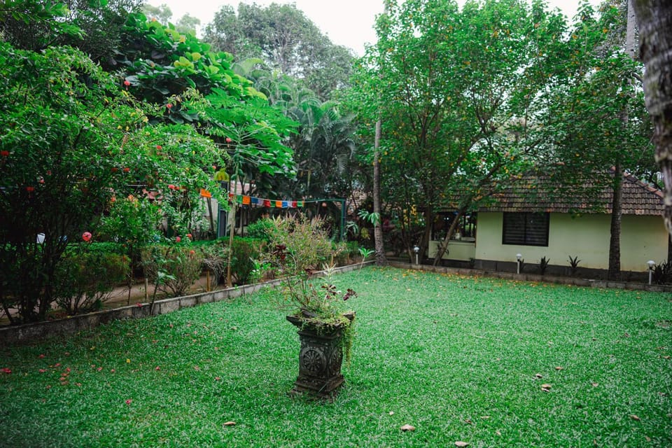Natural landscape, Garden view