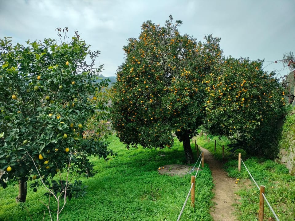 Quinta Vale do Cabo Country House in Porto District