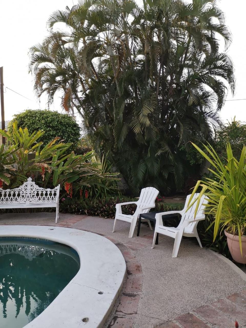 Swimming pool, Swimming pool