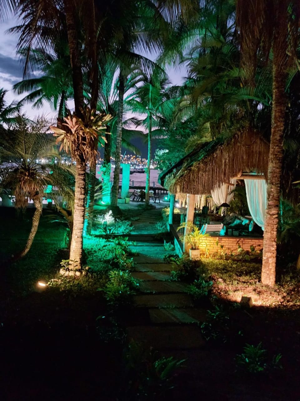 Night, Natural landscape, Garden, Garden view