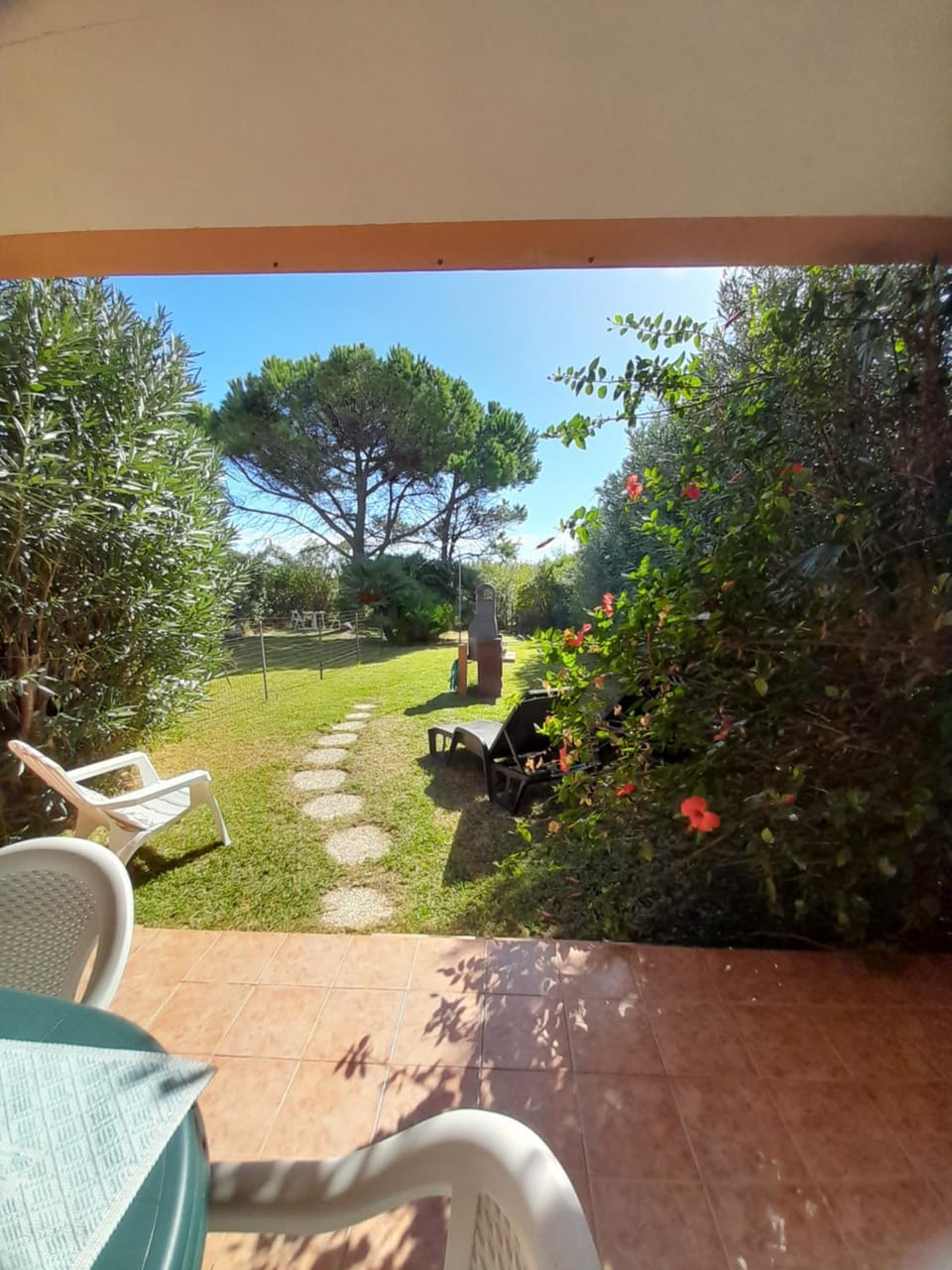 Garden, Garden view, Garden view