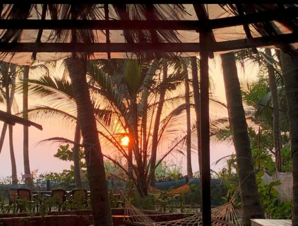 Restaurant/places to eat, Day, Garden, On site, Garden view, Sunset