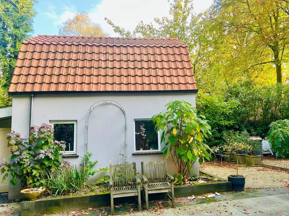 In de aap gelogeerd Bed and Breakfast in Overijssel (province)