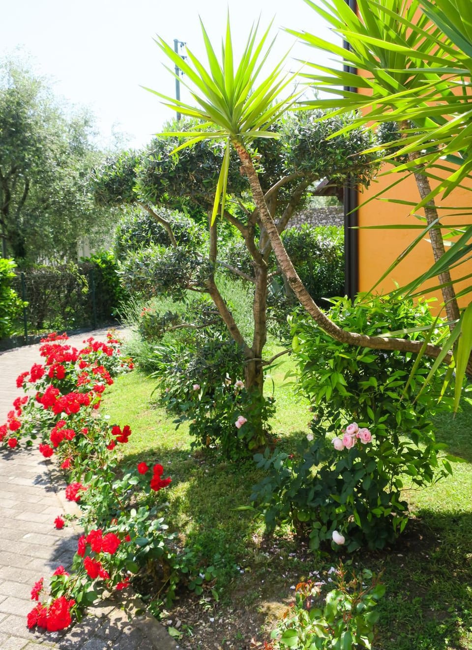 Garden, Other, On site, Garden view