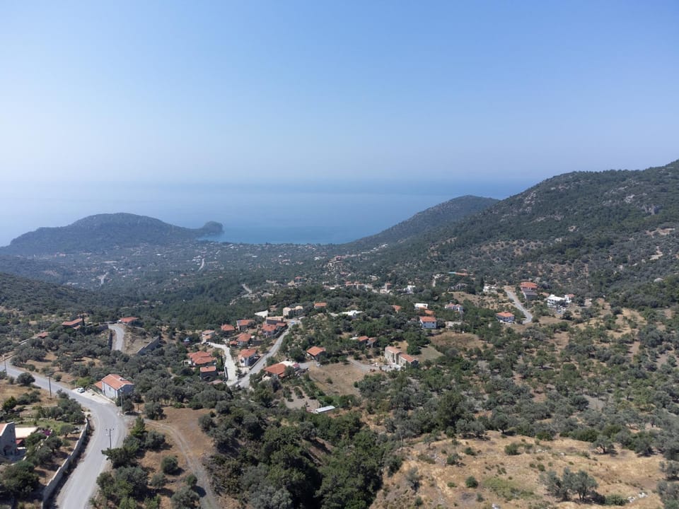 Villa Olive Garden Villa in Muğla Province