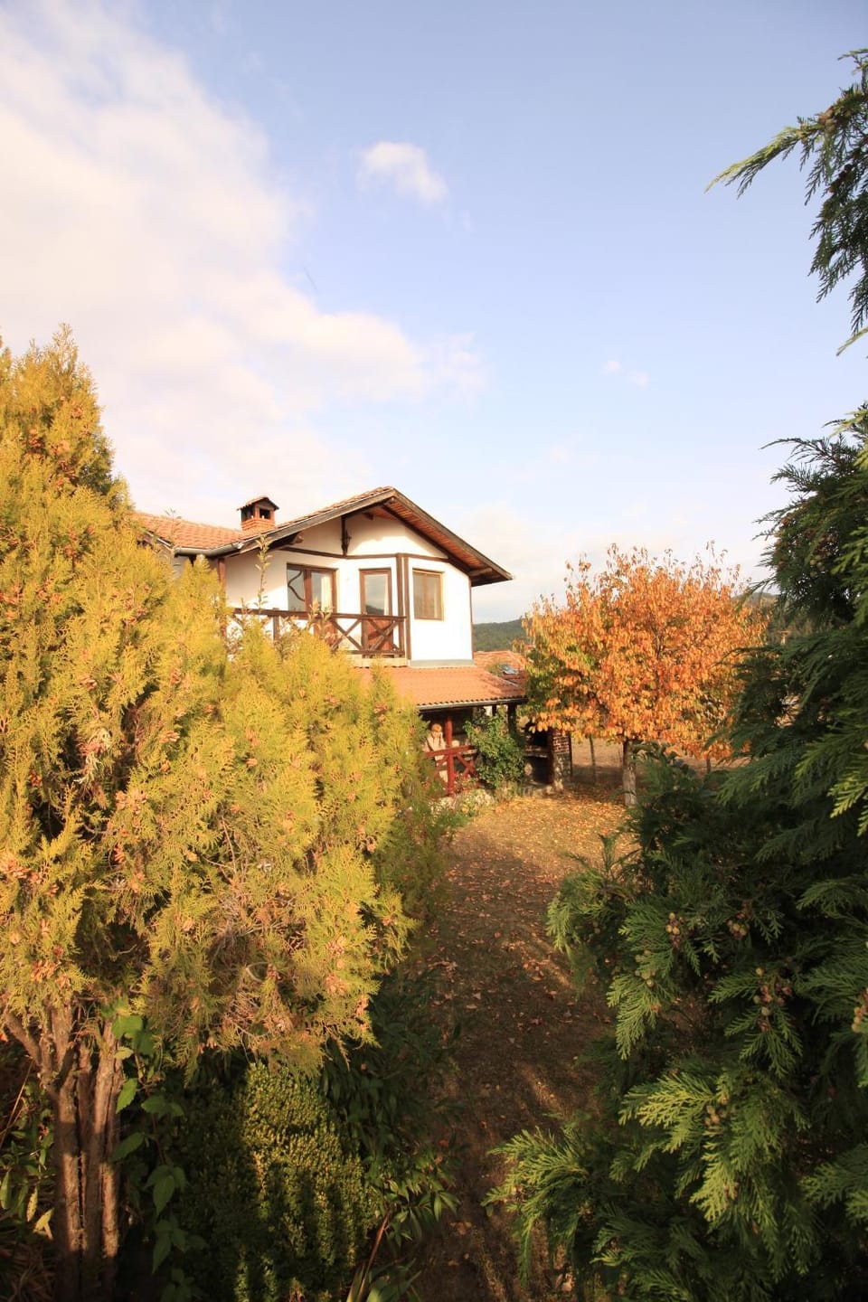 Bird's eye view, Garden view