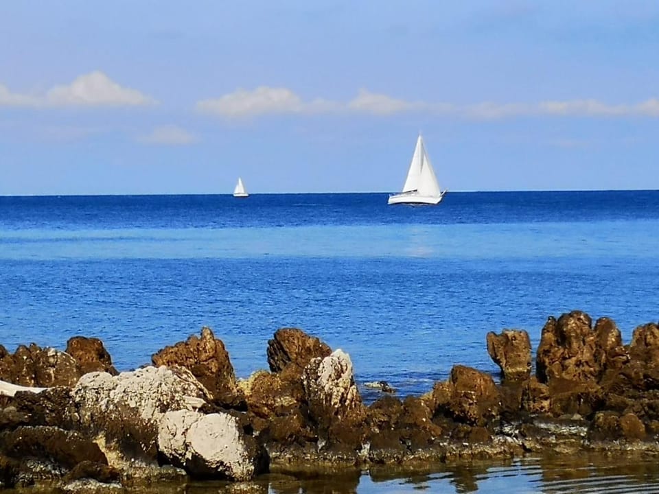 5 min to sea and Palais des Festivals Apartment in Cannes