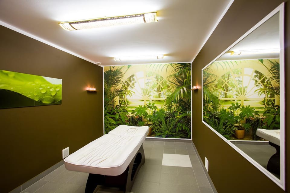 Massage, Spa and wellness centre/facilities