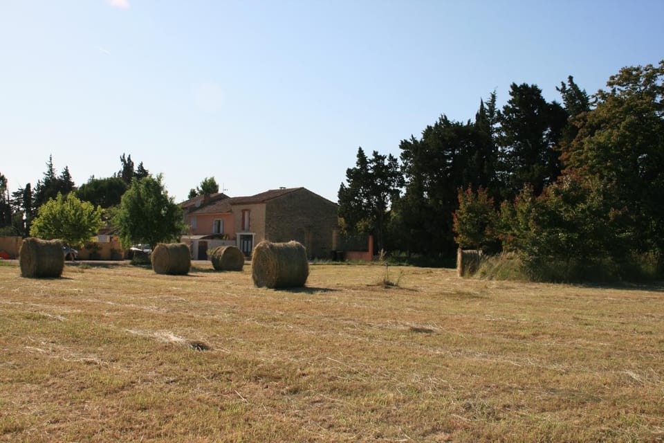 Natural landscape