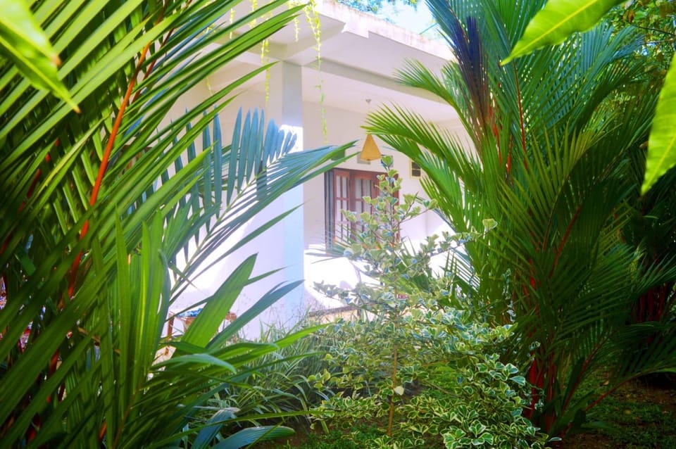 South Heaven Villa Bed and Breakfast in Hikkaduwa