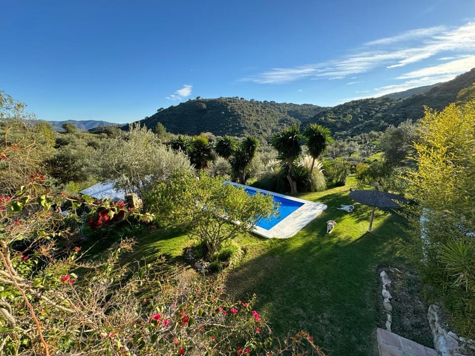 Bird's eye view, Garden view, Mountain view, Pool view, Swimming pool