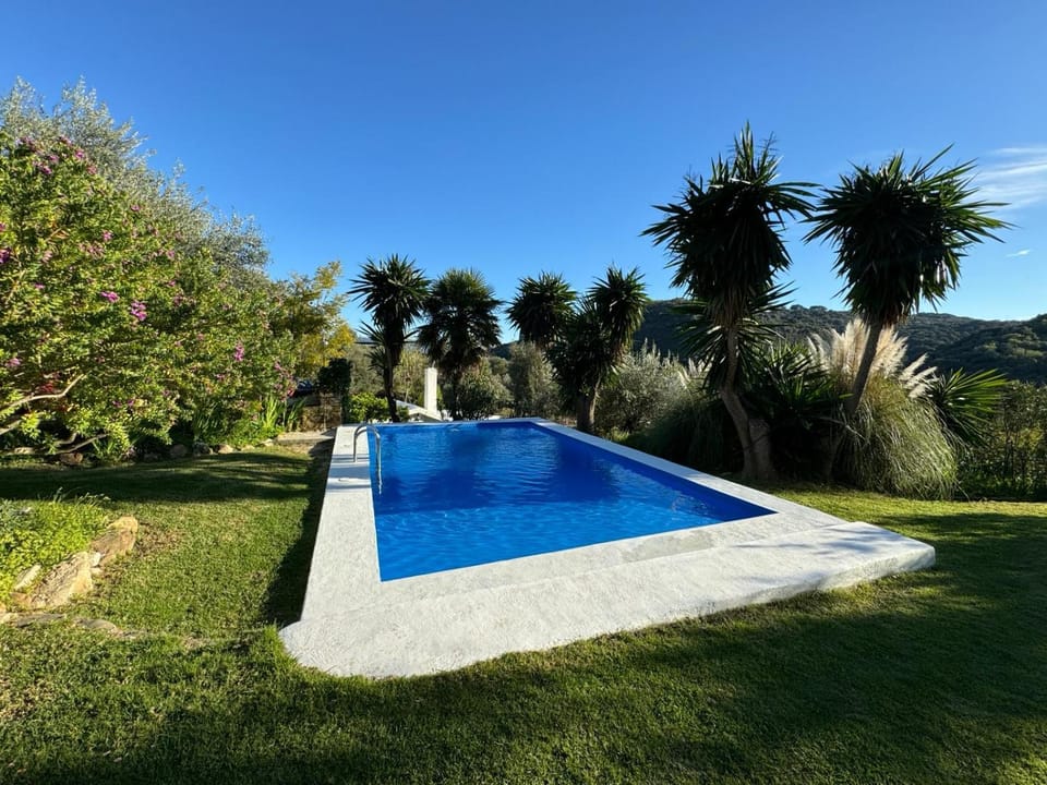 Garden, Garden, Garden view, Garden view, Swimming pool