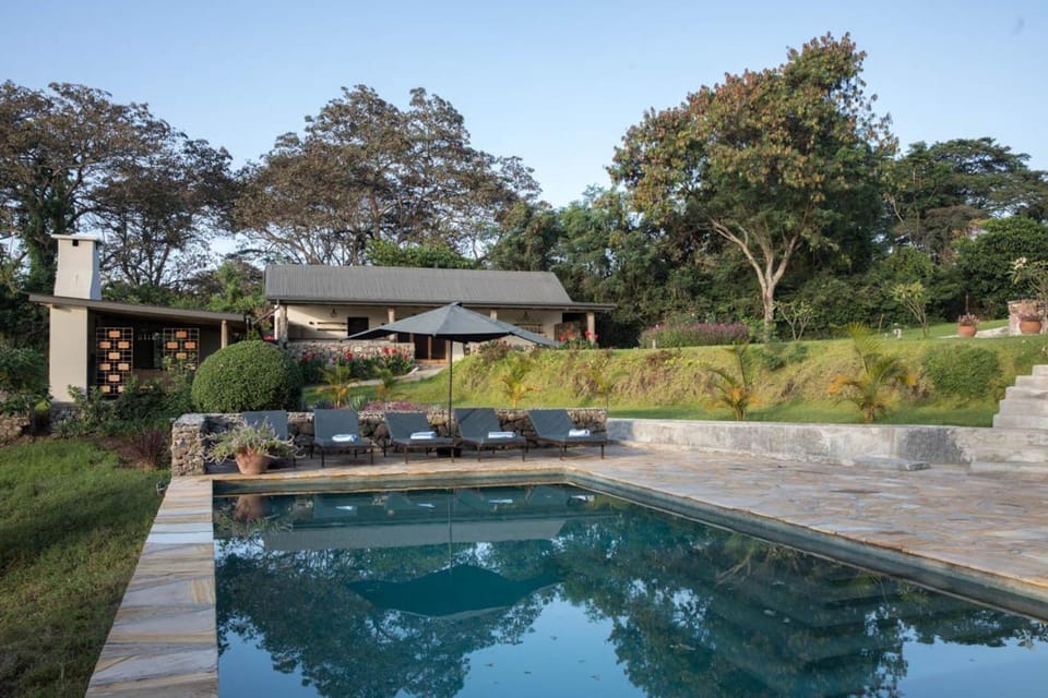 Pool view, Swimming pool