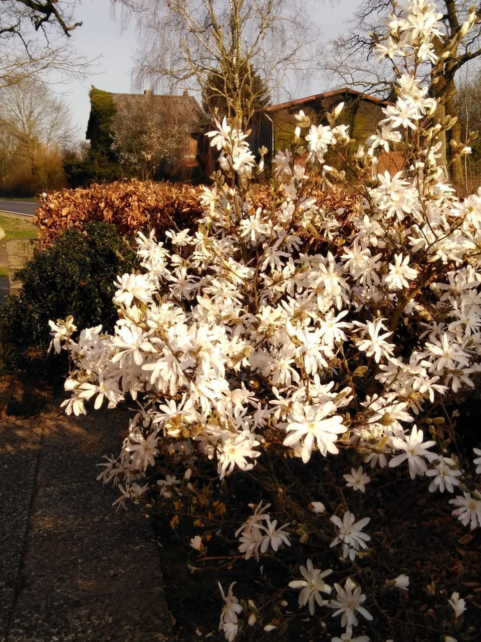 Facade/entrance, Spring, Garden, Garden, Garden view, Area and facilities