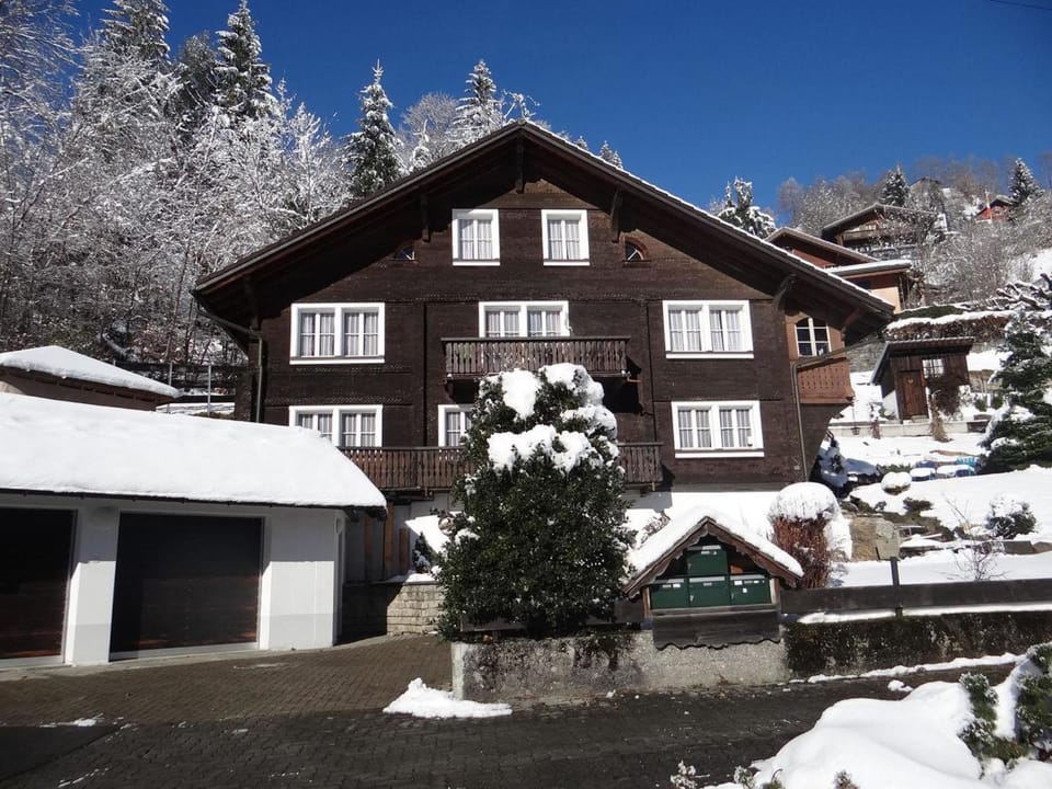 Apartment Steinacher 7 Appartement-Fewo 4-Bettwohnung by Interhome Apartment in Canton of Bern (Region)