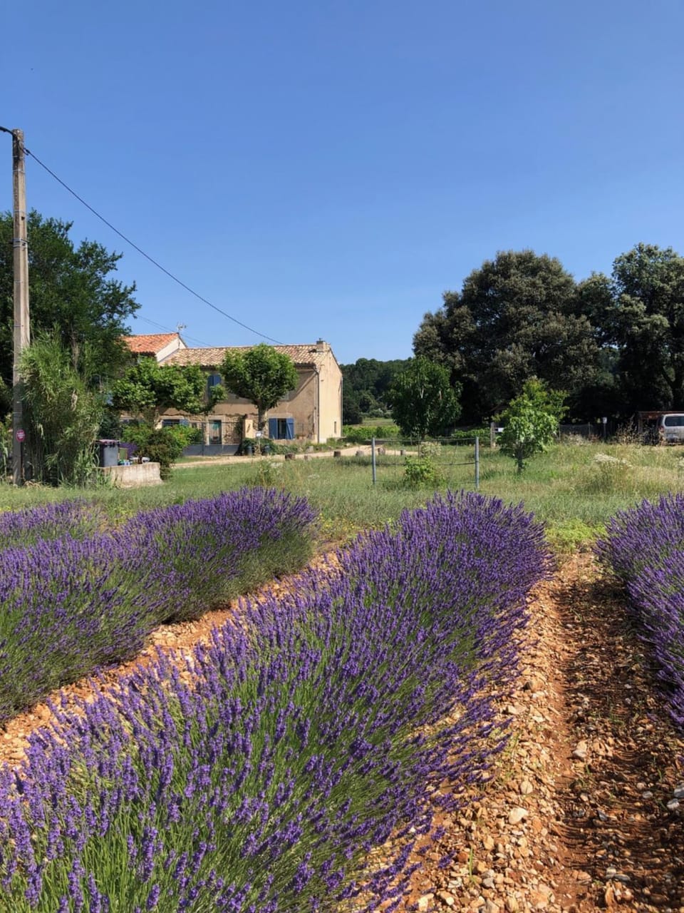 mas de costebelle Bed and Breakfast in Provence-Alpes-Côte d'Azur