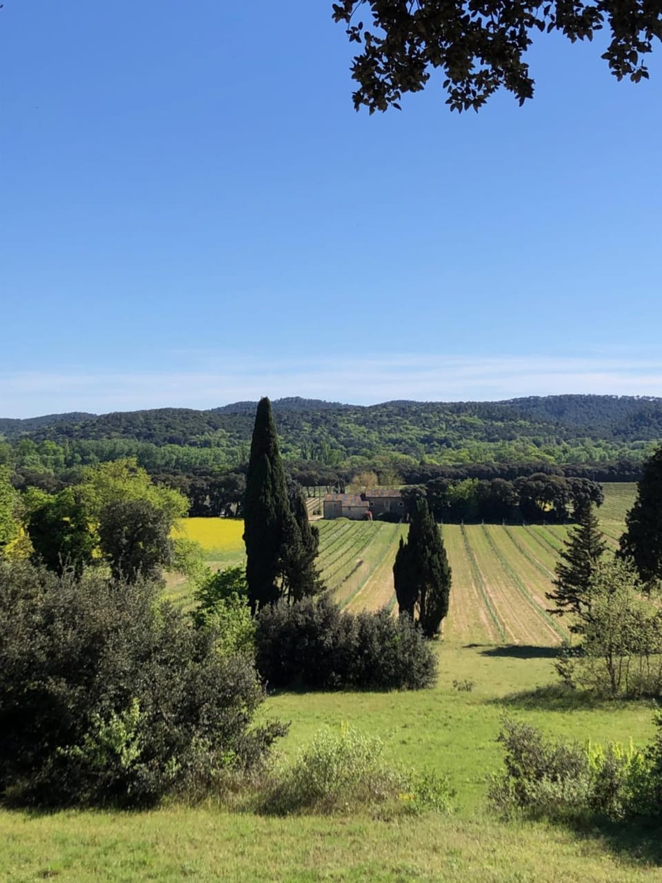 mas de costebelle Bed and Breakfast in Provence-Alpes-Côte d'Azur