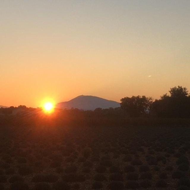 mas de costebelle Bed and Breakfast in Provence-Alpes-Côte d'Azur