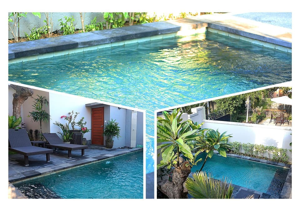 Garden, Pool view, Swimming pool, sunbed