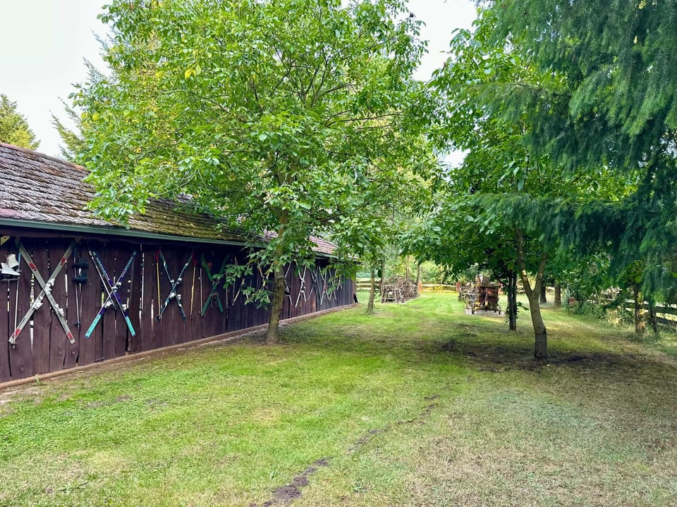 Natural landscape, Garden, Garden view
