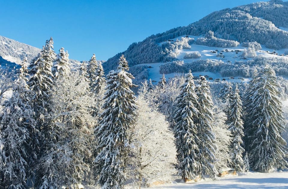 Ferienwohnung Bitschnau Apartment in Vorarlberg, Austria