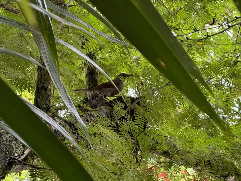 Pousada Bemvirá Inn in Arraial d'Ajuda