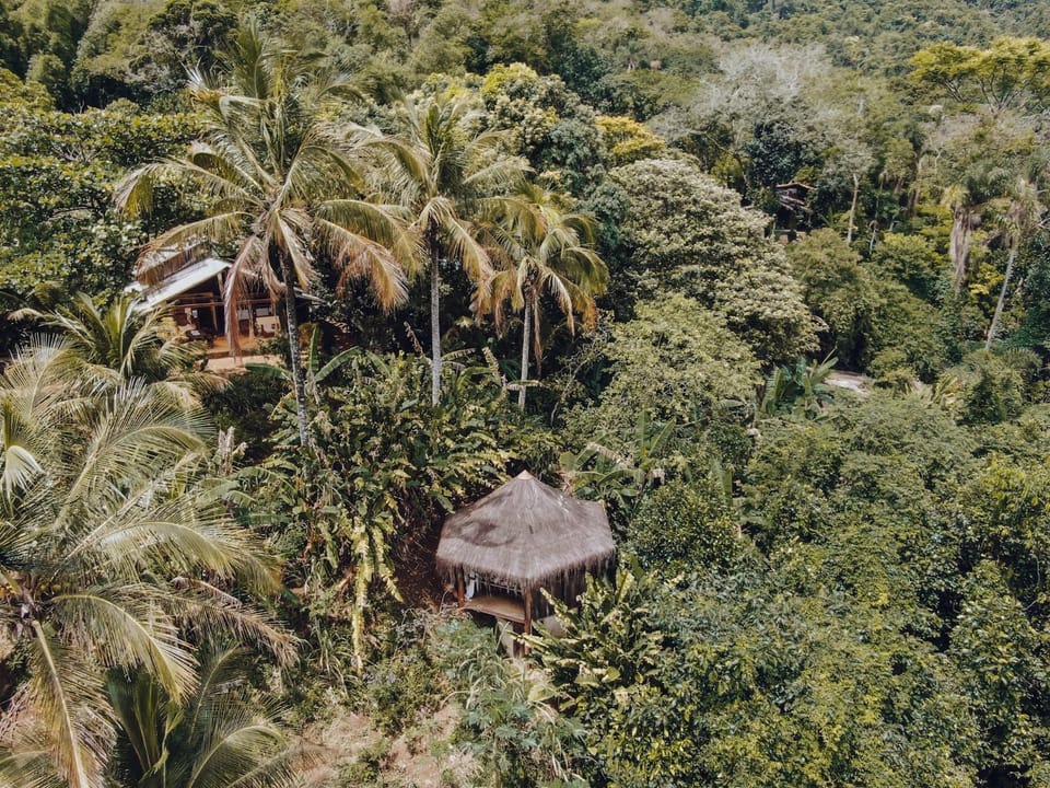 Bird's eye view, Garden, Garden view