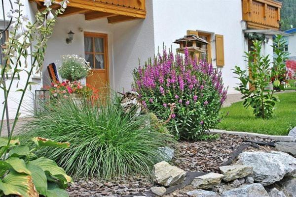 Facade/entrance, Garden