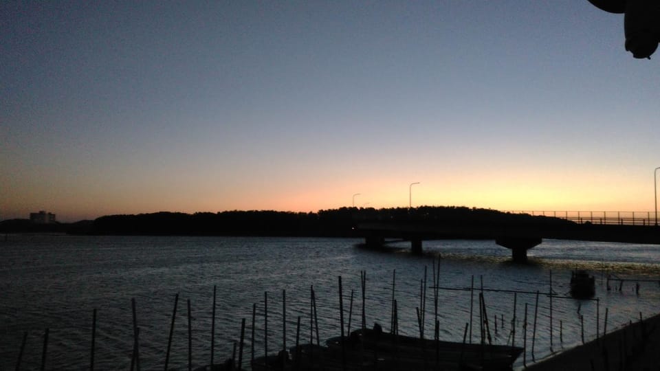 Lake view