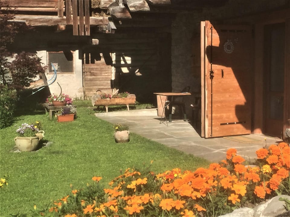 Garden view