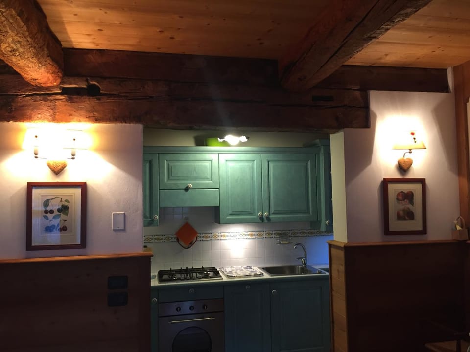 pet friendly, stove